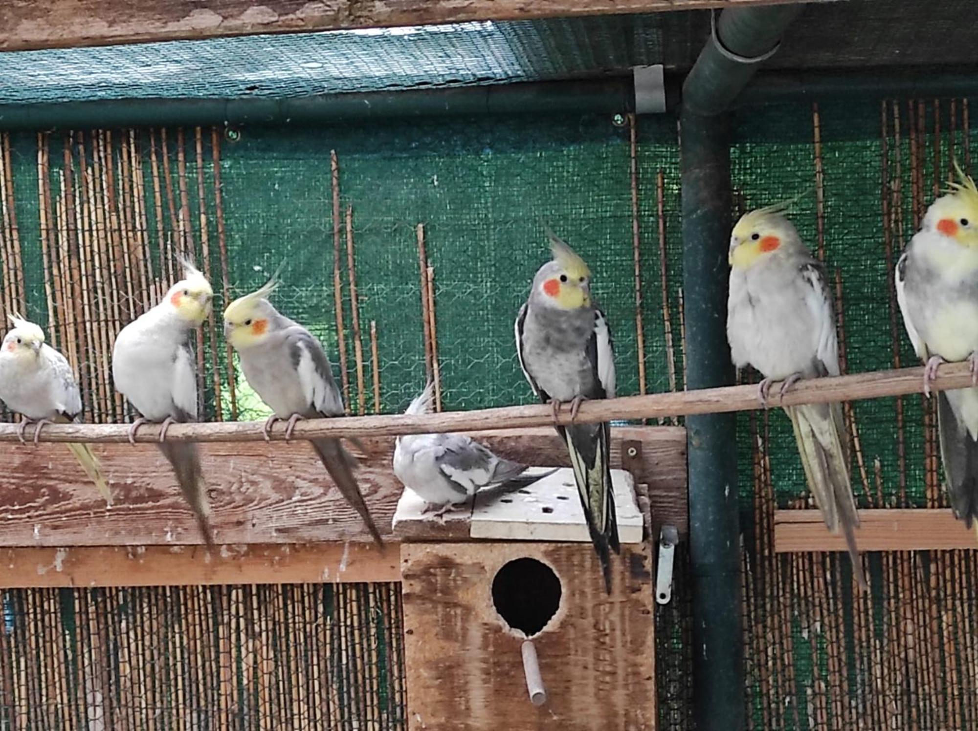 Penzion Kosky Hamr Kültér fotó